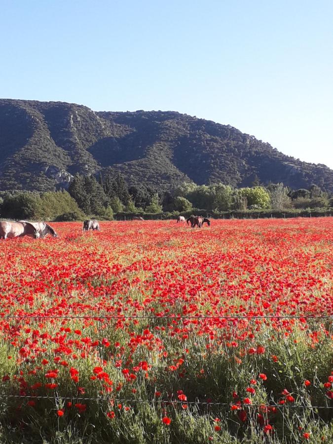 Gite Le Bagnol Un Coin De Paradis Maubec  Eksteriør billede